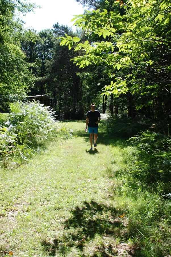 Camping Bois De St Hilaire Chalandray Exterior photo